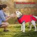 Duuclume Professional Pet Recovery Suit for Dogs | Cone Alternative Post-Surgery Bodysuit for Spayed & Neutered Bitches - Size S (Red) - Buy Online on GoSupps.com