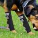 Oumefar Dog Rear Leg Braces Support Paw Compression Wraps Protector Dog Hock Sleeves Joint Wraps to Help Dogs Recover(L) - Buy Online on GoSupps.com