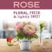 Mrs. Meyer's All-Purpose Cleaner Spray Limited Edition Rose 16 fl. oz - Pack of 3 Rose Spray - Buy Online on GoSupps.com