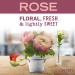 Mrs. Meyer's Hand Soap - Limited Edition Rose | Biodegradable, Essential Oils | Pack of 3 (12.5 fl. oz) - Buy Online on GoSupps.com
