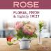 Mrs. Meyer's Rose Hand Soap with Essential Oils - Biodegradable Formula - 12.5 fl. oz - Buy Online on GoSupps.com