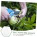 Yardwe 9 Pcs Vegetable Growing Mold Strawberry Accessories Small Fruit Mold Watermelon Multifunction 9x8cmx3pcs Transparentx3pcs - Buy Online on GoSupps.com