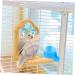 Hemobllo 6 Pcs Automatic Drinking Fountain Chicken Drinker Bird Cage Accessory Feeding Bowl Supplies Birdcage - Buy Online on GoSupps.com