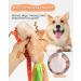 SCHITEC Dog Tug Toy - Interactive Bungee Rope Toy with Squeaky Sound for Small, Medium, Large Dogs - Buy Online on GoSupps.com
