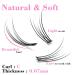 Natural Cluster Eyelash Extensions 8-14mm Mixed Pack - C Curl Fishtail Lashes 0.07mm - Buy Online on GoSupps.com