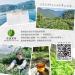 Taiwan indigenous wild tea Sun Moon Lake Black Tea 150g*4 - Buy Online on GoSupps.com