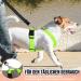 Slowton No Pull Dog Harness - Soft Padded & Breathable XS/S/M for Small Medium Dogs - Lime - Buy Online on GoSupps.com