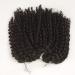 Kinky Curly Crochet Hair 8 Inch Short Marlybob Jerry Curl Natural Black Color Afro Synthetic Braiding Hair Extension for Black Women (1B) - Buy Online on GoSupps.com