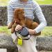 Buy Ferplast Flippy One Dog Leash for Medium Dogs - 5m Retractable Lock Button Lightweight & Durable Red - Ships Internationally - Buy Online on GoSupps.com