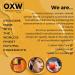 OXW Beauty Castor & Pumpkin Seed Oil Blend - Organic Scalp Stimulator for Hair Growth & Nourishing Facial Treatment - Hexane-Free Cold Pressed - Handcrafted All Natural - Buy Online on GoSupps.com