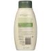 Aveeno Active Naturals Daily Moisturizing Body Wash - 12 fl oz | Hydrating Cleanser for Soft Smooth Skin | Shop Internationally - Buy Online on GoSupps.com