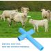 Cow Sheep Mouth Opener Convenient to Use Gastric Lavage Veterinary Mouth Opening Tool Animals Livestock Breeding Euipment for Farm Blue(Large) - Buy Online on GoSupps.com