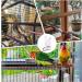 Aotisbao Bird Cage Accessories - Mirror Cotton Rope Stable Base Bars & Perch for Budgies & Nymphensittiche - International Shipping - Buy Online on GoSupps.com