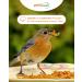 Petifool Mealworms 800g - Healthy Dried Insect Snack for Turtles Fish Birds Reptiles & Rodents - International Shipping Available - Buy Online on GoSupps.com