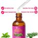 Buy Rosemary Mint Blend Scalp Hair Strengthening Oil - Nourish & Revitalize Your Hair | International Shipping Available - Buy Online on GoSupps.com
