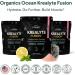 Organics Ocean Krealyte Fusion - Instantized Creatine Monohydrate Powder with Electrolytes - Muscle Strength Endurance & Hydration Support - Vegan Sugar-Free Pink Lemonade Flavor - 30 Servings 9.17 Ounce (Pack of 1) - Buy Online on GoSupps.com