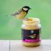 CJ Wildlife Peanut Butter for Garden Birds with Mealworms - Economy Pack (4 x 330g) | Premium Bird Feed for Wild Birds - International Shipping Available - Buy Online on GoSupps.com