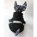 ZoonPark Small Dog Hoodie Fashion Soft Cotton Fleece Pet Security Hoodie Hooded Clothes Warm Autumn Winter Coat Puppy Hoodie T-Shirt Clothes Costume Apparel for Puppy Small Dogs Black - Buy Online on GoSupps.com