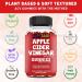 SUPPZAAR Vegan Apple Cider Vinegar Gummies 500mg - 60 Servings | Immune Support & Digestive Health | Natural Detox & Cleanse | With The Mother | ACV Gummies Alternative - Buy Online on GoSupps.com