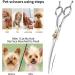 Dream Reach Professional 7 Inch Curved Dog Grooming Scissors Kit - JP-440C Stainless Steel Pet Hair Cutting Shears for Thinning, Blending, Chunking - Ideal for Cats and Dogs - Buy Online on GoSupps.com