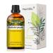 PHATOIL Helichrysum Essential Oil 30ML Premium Grade Pure Essential Oils for Diffusers for Home Perfect for Aromatherapy Diffuser Humidifier Candle Making Helichrysum 30.00 ml (Pack of 1)