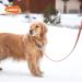 Laroo 10m Reflective Dog Drag Line | Waterproof PVC Leash for Small & Large Dogs - Perfect for Night Walks - Buy Online on GoSupps.com