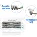 Cluster Lashes C Curl 0.07mm 16mm | 30D DIY Eyelash Extensions - Buy Online on GoSupps.com