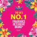 Surf Concentrated Liquid Laundry Detergent Tropical Lily 1.62L - 60 Washes | 1620ml - Pack of 1 - Buy Online on GoSupps.com