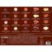 Praline Messenger - Exclusive 740g Chocolate Gift Box with 24 Handmade & 80 Fine Chocolates - Perfect International Shipping Treat - Buy Online on GoSupps.com