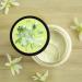 Buy The Body Shop Moringa Body Scrub (250 ml) - Exfoliating & Nourishing | International Shipping Available - Buy Online on GoSupps.com