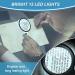 30X Handheld Illuminated Magnifying Glass with 12 LED Lights - Ideal for Seniors, Reading, Coins, Stamps, Maps, Inspection - Double Glass Lens for Macular Degeneration - All White - Buy Online on GoSupps.com