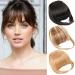 Bangs Hair Clip Fringe Clip In Hair Clip in Fringe High Temperature Fiber Clip in Bangs with Temple Hair Breathable Natural Look Fake Flat Bangs Front Face Fake Fringe for Women Girl Style3 - Buy Online on GoSupps.com