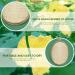 2 Pack Natural Loofah Body Scrubber | Eco-Friendly Exfoliating Shower Sponge for Women and Men - Buy Online on GoSupps.com