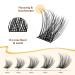 QUEWEL Eyelash Cluster - Mixed Length Natural Look DIY Extensions | Reusable & Permanent Thin Band - Perfect for Home Use (FD01) - Buy Online on GoSupps.com