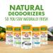 Arm & Hammer Essentials Charcoal Deodorant 4-Pack - Buy Online on GoSupps.com