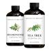 Brooklyn Botany Frankincense & Tea Tree Essential Oils 4 Fl Oz (Pack of 2) 100% Pure & Natural Purifying & Grounding Aromatherapy Blend