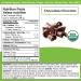 Orgain Simple Organic Plant Protein Powder Chocolate & Vanilla Vegan Made with Fewer Ingredients and Without Dairy Gluten and Stevia Kosher Non-GMO 567g (Pack of 2) - Buy Online on GoSupps.com