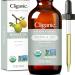 Cliganic Organic Marula Oil, 2oz - 100% Pure - For Face & Hair | Natural Cold Pressed Unrefined 2 Fl Oz (Pack of 1)
