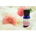 SVATV Essential Rose Flower Oil - Aromatherapy Yoga & Massage Oil for Mood Boosting & Room Fragrance - 10ml Therapeutic Quality - Buy Online on GoSupps.com