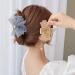 2 Pack Metal Big Lace Bows French Style Hair Clips Clamp Tassel Nonslip Hair Claw Hair Accessories for Women Girls for Thinner Thick Hair Styling 1 count (Pack of 2) 2pcs Bow Knot - Buy Online on GoSupps.com