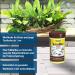 Tetramin Junior Fish Feed - Small Flakes for Adolescent Fish | Special Growth Formula | 100ml Can (1 Pack) - International Shipping Available - Buy Online on GoSupps.com