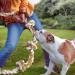 Large Dog Rope Toy for Aggressive Chewers - 105cm 6 Knot Tough Chew Toy - Indestructible Non-Dye Cotton Rope for Large Breeds - Teething and Tug Toy - Buy Online on GoSupps.com