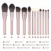 Rose Gold 12Pcs Makeup Brushes Set - Foundation, Powder, Eyeshadow, Concealers, Blush Face Make up Brushes Kit - Buy Online on GoSupps.com