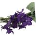 MUSISALY Floral Crown Flower Girl Tiara Flower Crowns for Flower Crown Green Bridal Hair Accessories Fairy Headband Hair Coils Fiesta Headbands Purple Garland Flowers Bohemia Bride - Buy Online on GoSupps.com