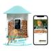 Netvue bird feed donor with camera bird house with camera feed stations for wild birds bird feeding constitution Camere video car bird feeder camera with AI detection bird species (birdfy AI) only birdfy