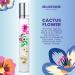 Blossom Roll on Perfume for Women Alcohol Free Rollerball Perfume Oil with Essential Oils Infused with Real Flowers Made in USA 0.20oz (Lemon Bergamot Violet White Musk) Cactus Flower Cactus Flower 0.2 Fl Oz (Pack of 1) - Buy Online on GoSupps.com