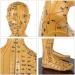 Human Acupuncture Template - Traditional Chinese Medicine Meridian and Acupoint Teaching Model - Man and Woman Acupuncture - Includes Hands Feet Ears - Buy Online on GoSupps.com