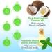 Coconut Oil Pulling Mouthwash | All-Natural Teeth Whitening & Gum Health | Refreshing Coconut Mint Flavor | Alcohol-Free Includes Tongue Scraper (8 Fl Oz - Buy Online on GoSupps.com