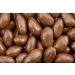 Milk Chocolate Brazil Nuts - Delicious 1.5 lb Tub | Buy Online Now - Buy Online on GoSupps.com