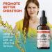 Organic Sweet Wormwood Tincture - 2 Fl Oz - Artemesia Absinthium Extract - Made in USA - Buy Online on GoSupps.com
